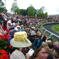 Ascot 2009